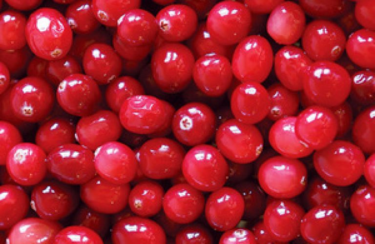 rsz_1ing-cranberries-thumb1x1